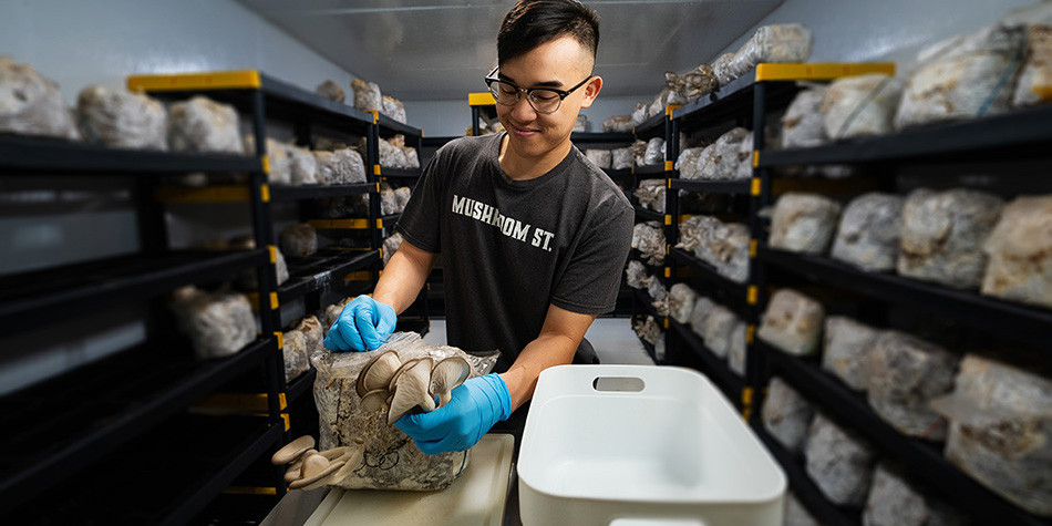 A man working in a warehouse with mushrooms