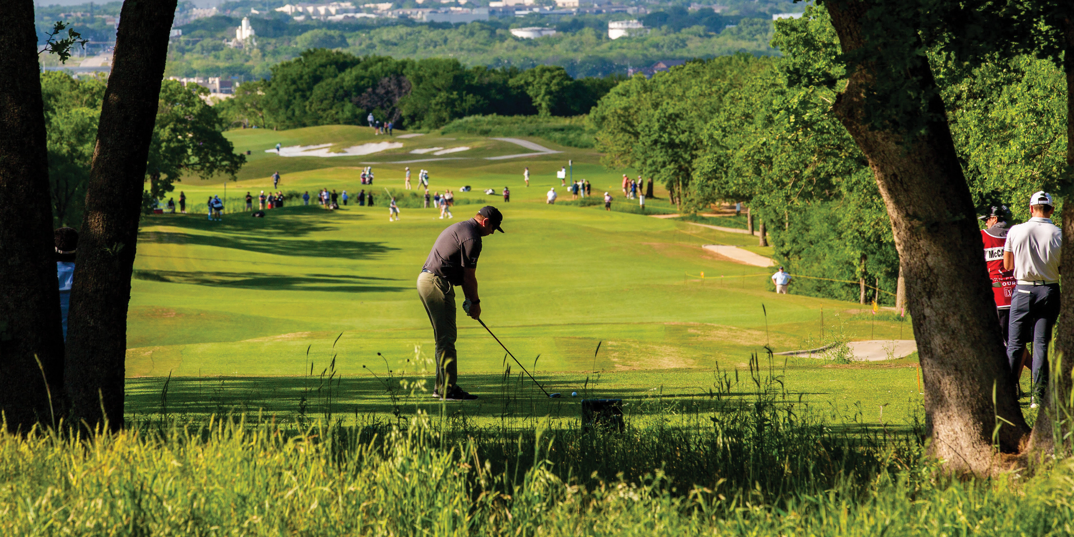 Golfer on an Arlington golf course